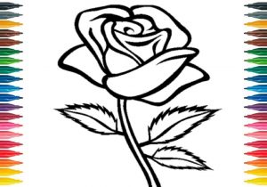 300x210 Rose Flower Drawing Pic In Hd Roses Flower Drawing - Rose Drawing For Kids