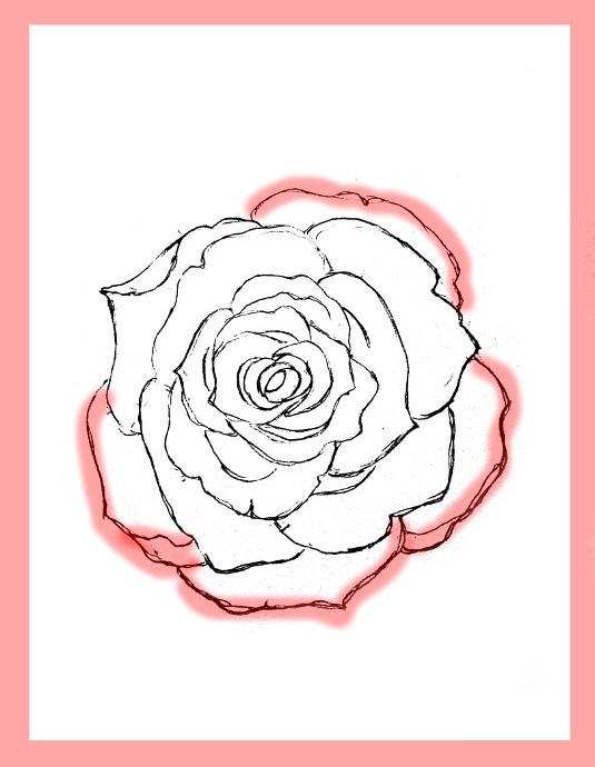 535x690 How To Draw Roses - Rose Drawing Images