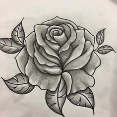 236x236 Drawing Of Rose - Rose Drawing Images