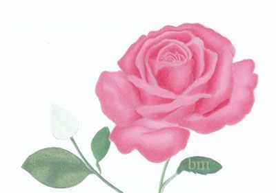 400x281 How To Color In A Rose Step - Rose Drawing In Color