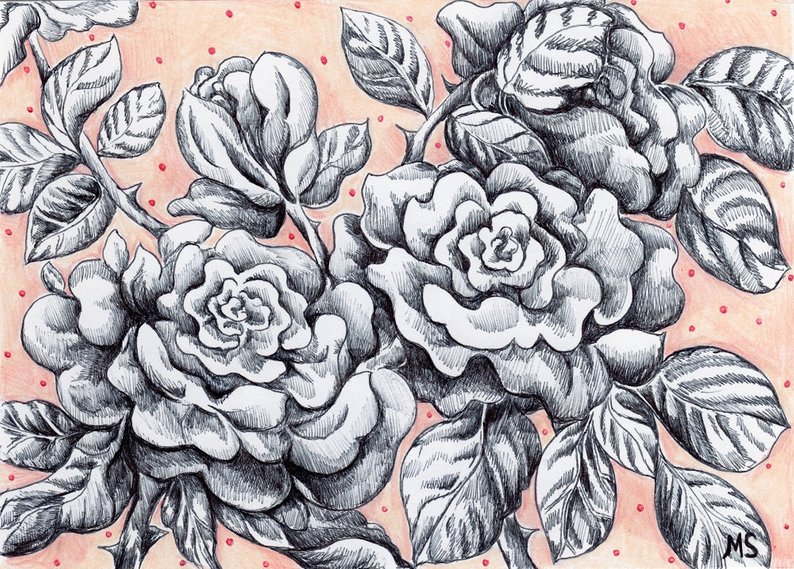 794x569 pale pink rose drawing pen and ink drawing original hand etsy - Rose Drawing Pen