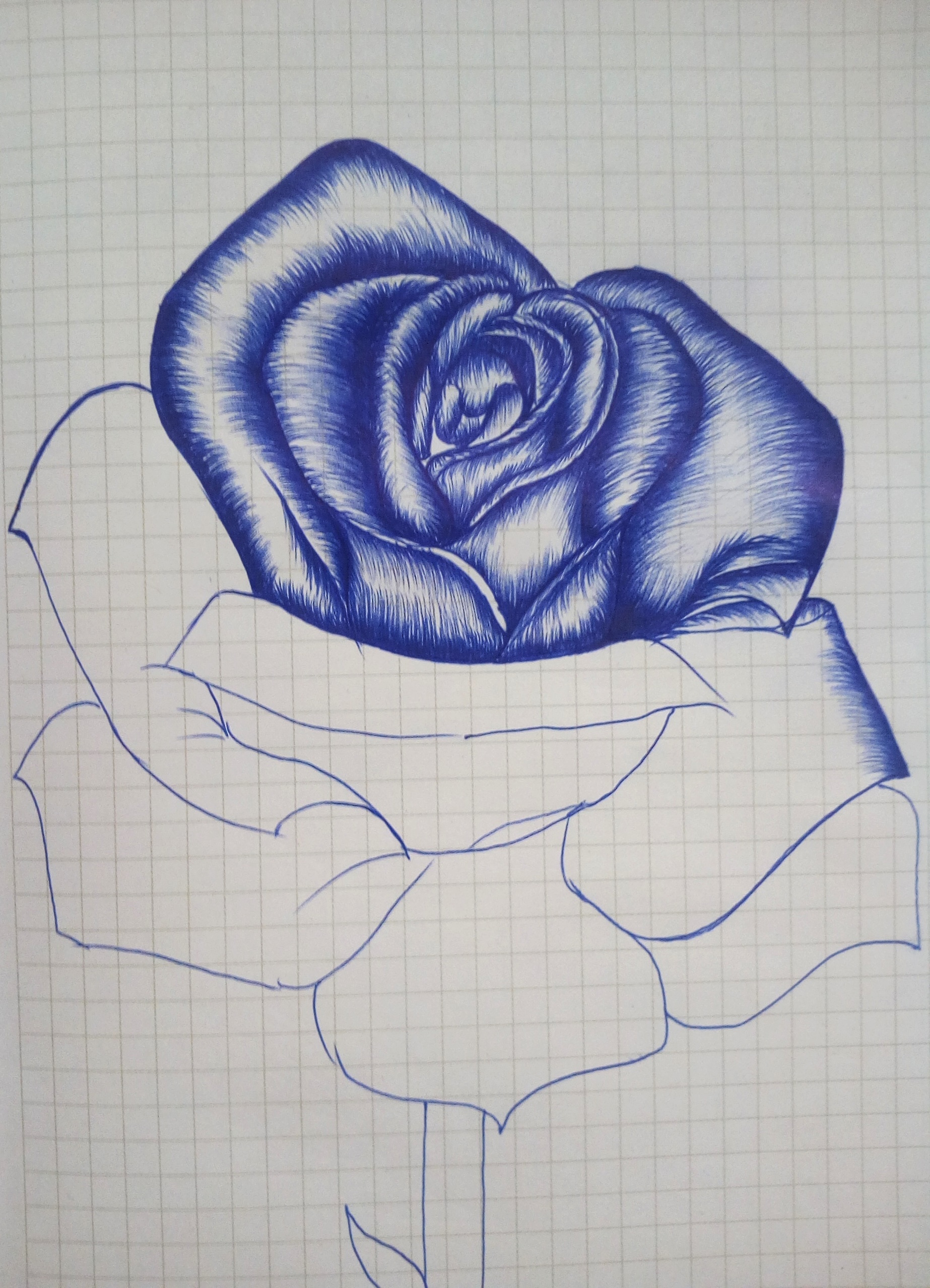 1846x2556 Rose Ballpoint Pen Drawing - Rose Drawing Pen
