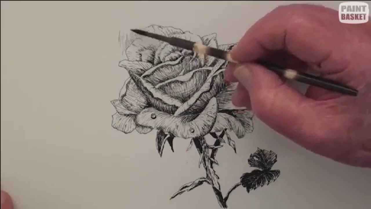 1280x720 How To Draw A Rose In Pen Ink - Rose Drawing Pen