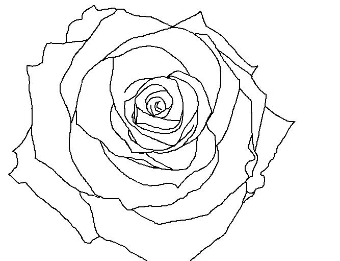 667x511 Of Rose Drawing Template - Rose Drawing Stencil