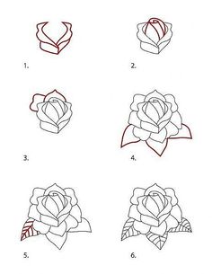 236x305 Pictures Rose Step - Rose Drawing Step By Step