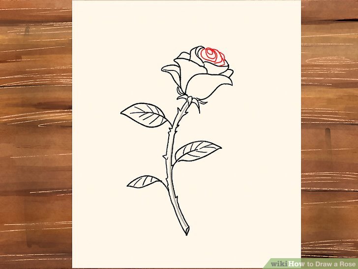 728x546 Ways To Draw A Rose - Rose Drawing Step By Step