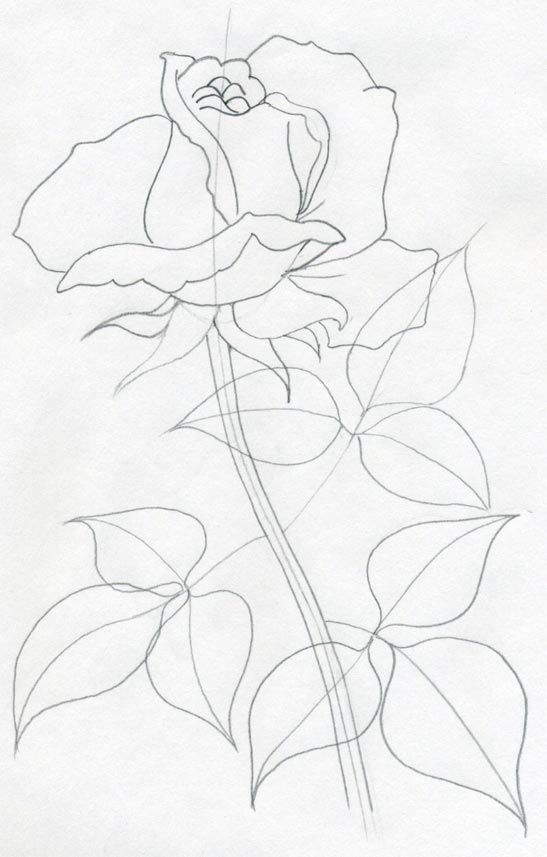 Featured image of post How To Draw A Realistic Rose For Beginners - Rose is considered as the queen of flower.