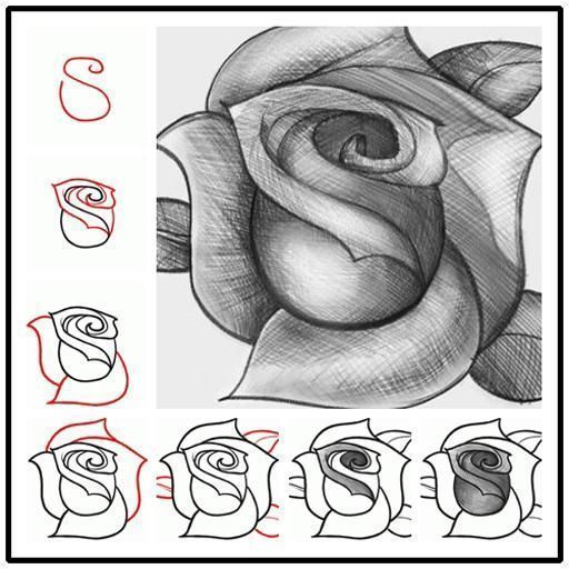 512x512 Simple Rose Drawing Steps Lovely Drawing Easy For Beginners - Rose Drawing Steps Beginners