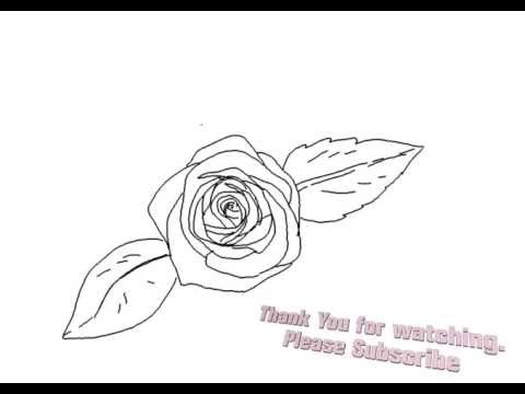 480x360 How To Draw A Beautiful Rose Flower Top View - Rose Drawing Top View