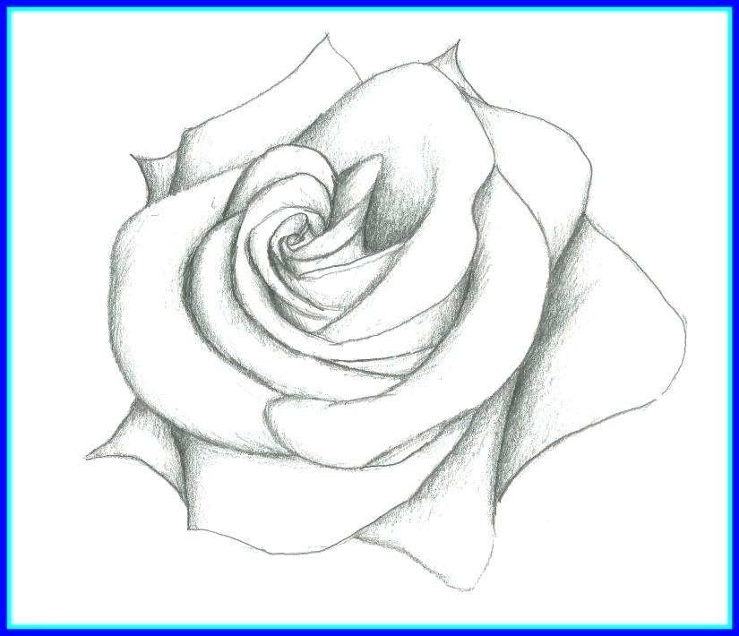 825x710 simple rose drawing easy drawing rose beautiful heart and rose - Rose Drawing Top View