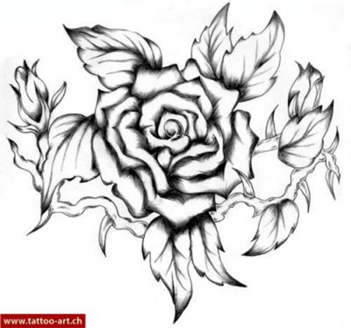 Rose Drawing Top View at PaintingValley.com | Explore collection of ...