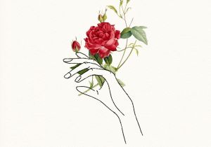 300x210 Rose Line Drawing Tumblr - Rose Drawing Tumblr