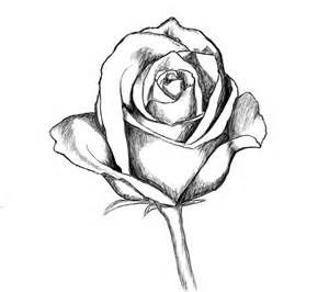 300x266 Tumblr Rose Drawing Black Rose Art Pencil Drawings, Drawings - Rose Drawing Tumblr