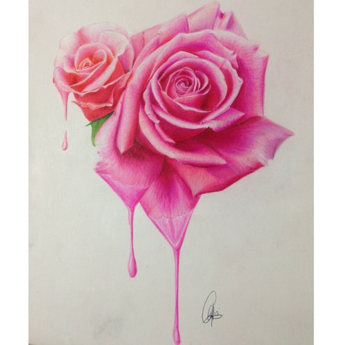 500x500 Rose Drawing Tumblr - Rose Drawing Tumblr