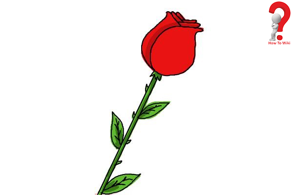 600x400 How To Draw A Rose Step - Rose Drawing Tutorial