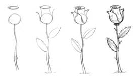 269x153 How To Draw Flowers Drawing Tutorials Drawing How To Draw - Rose Drawing Tutorial