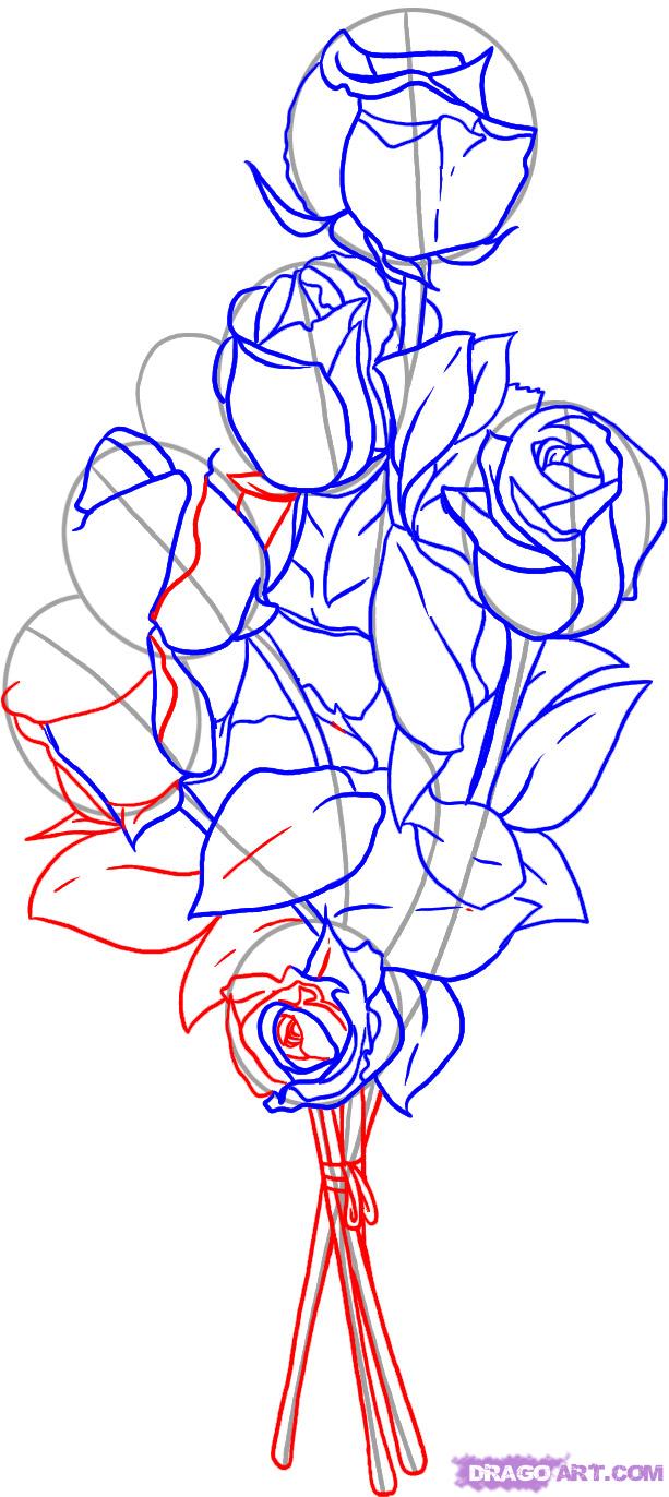 613x1372 How To Draw Roses, Step - Rose Drawing Tutorial