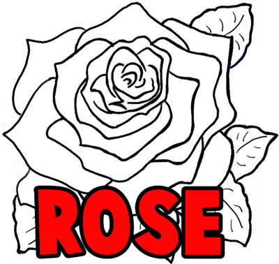 400x378 How To Draw Roses Opening In Full Bloom Step - Rose Drawing Tutorial