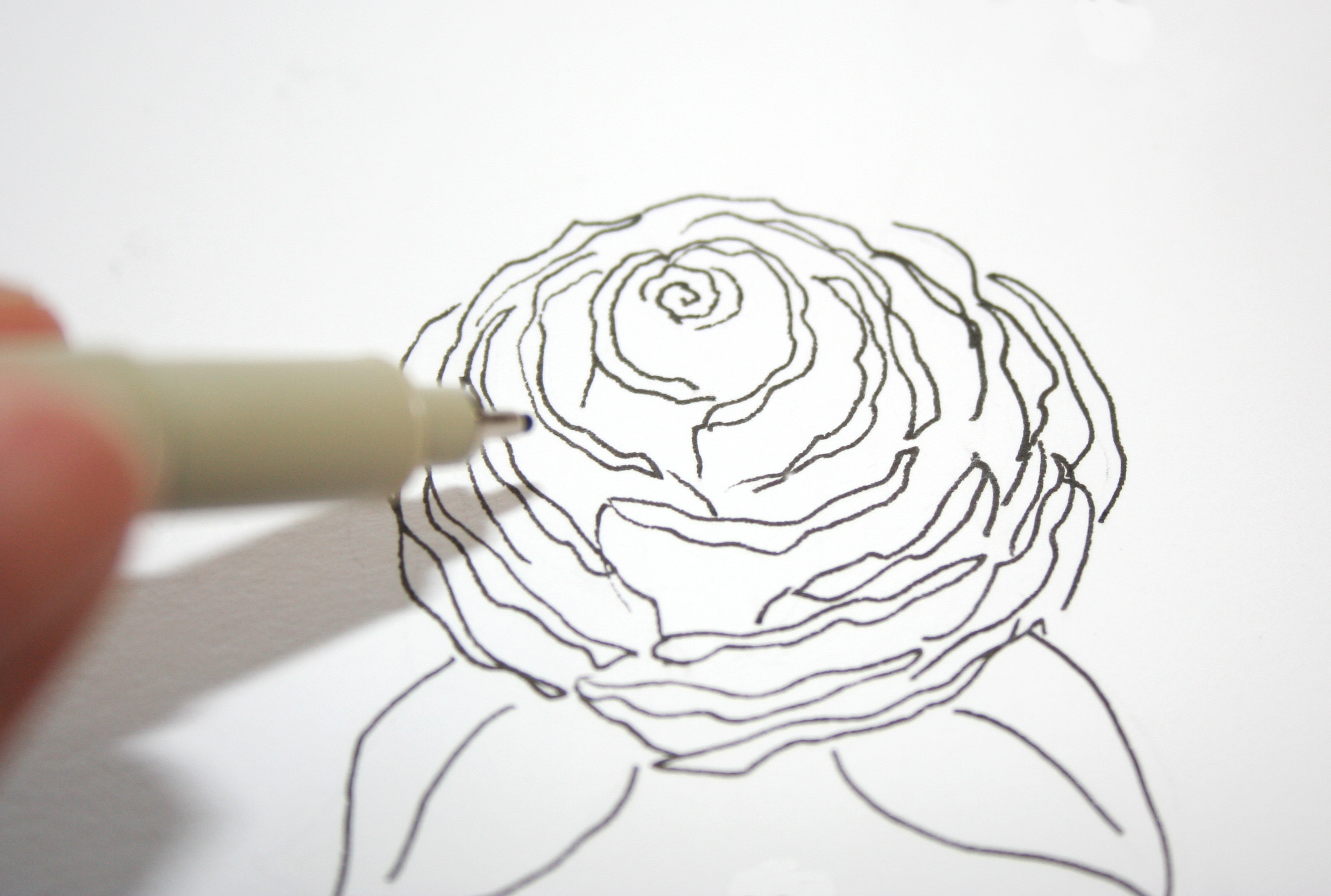 Рисовать розу сверху