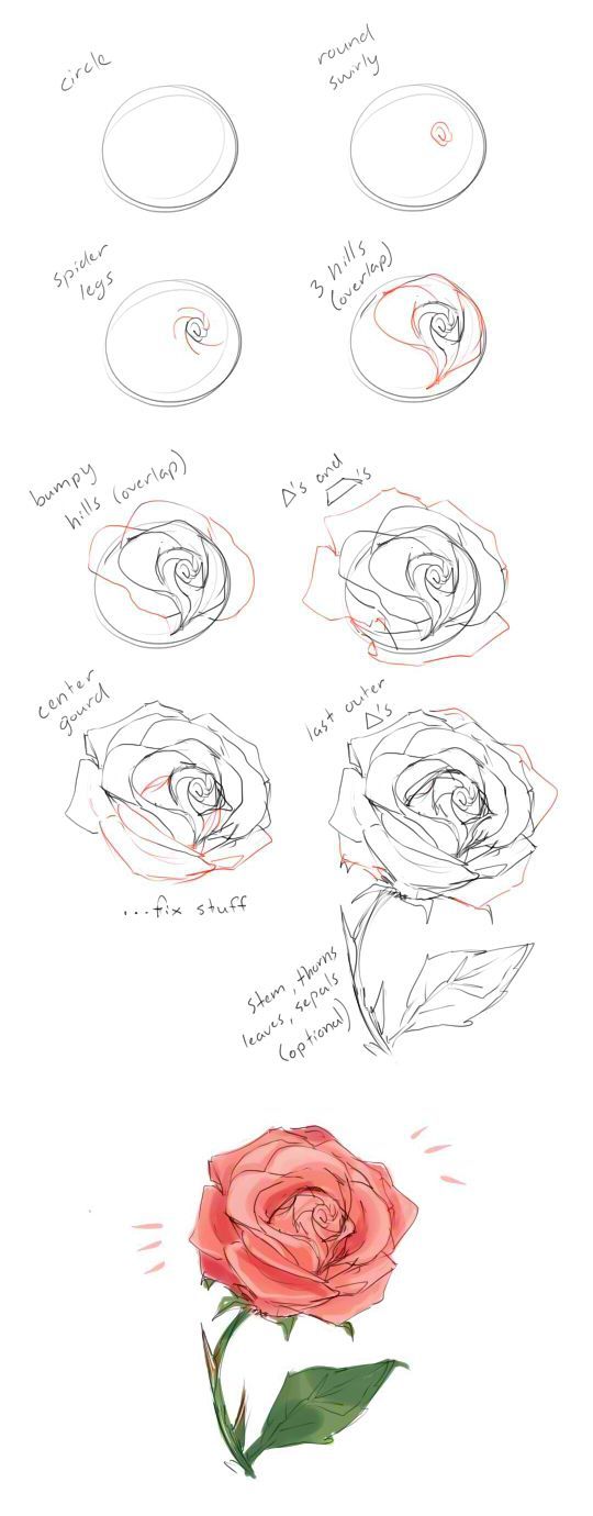 540x1380 How To Draw A Rose Tutorial - Rose Drawing Tutorial