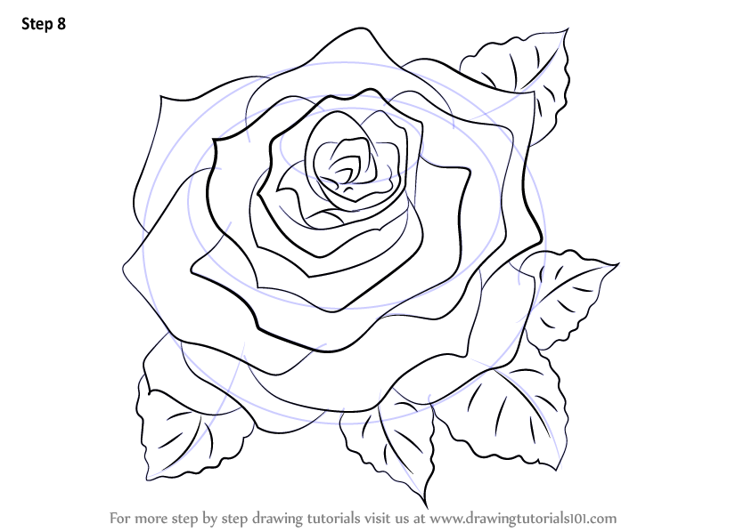 844x598 Learn How To Draw A Rose - Rose Drawing Tutorial