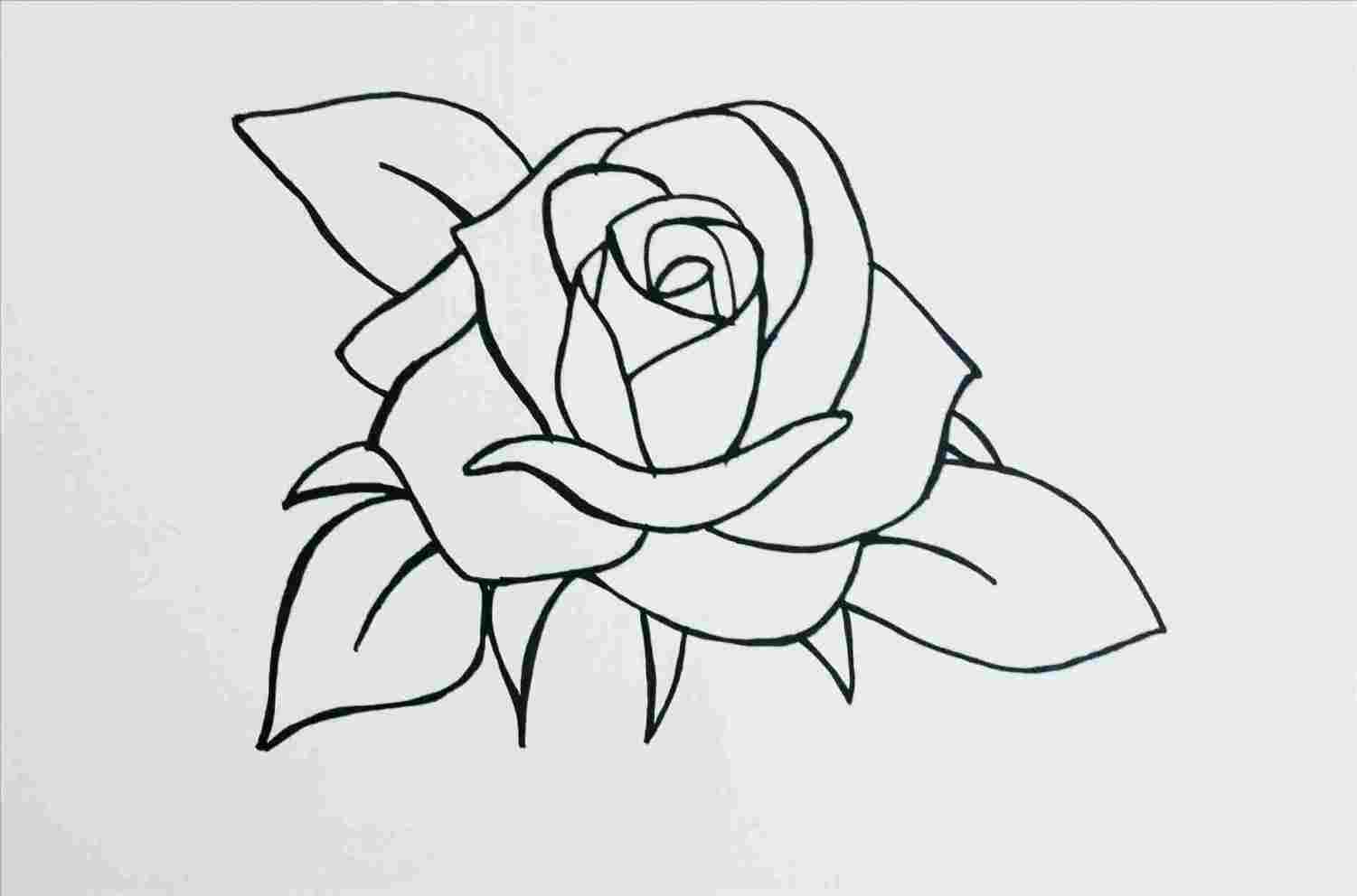 Rose Drawing Tutorial at PaintingValley.com | Explore collection of ...