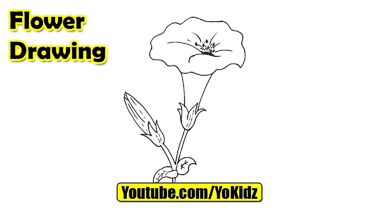 1280x720 Easy Rose Drawing Tutorial How To Draw A Peacock And Parrot Step - Rose Drawing Tutorial