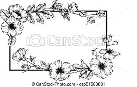450x285 Wild Rose Flower Frame Drawing - Rose Flower Black And White Drawing