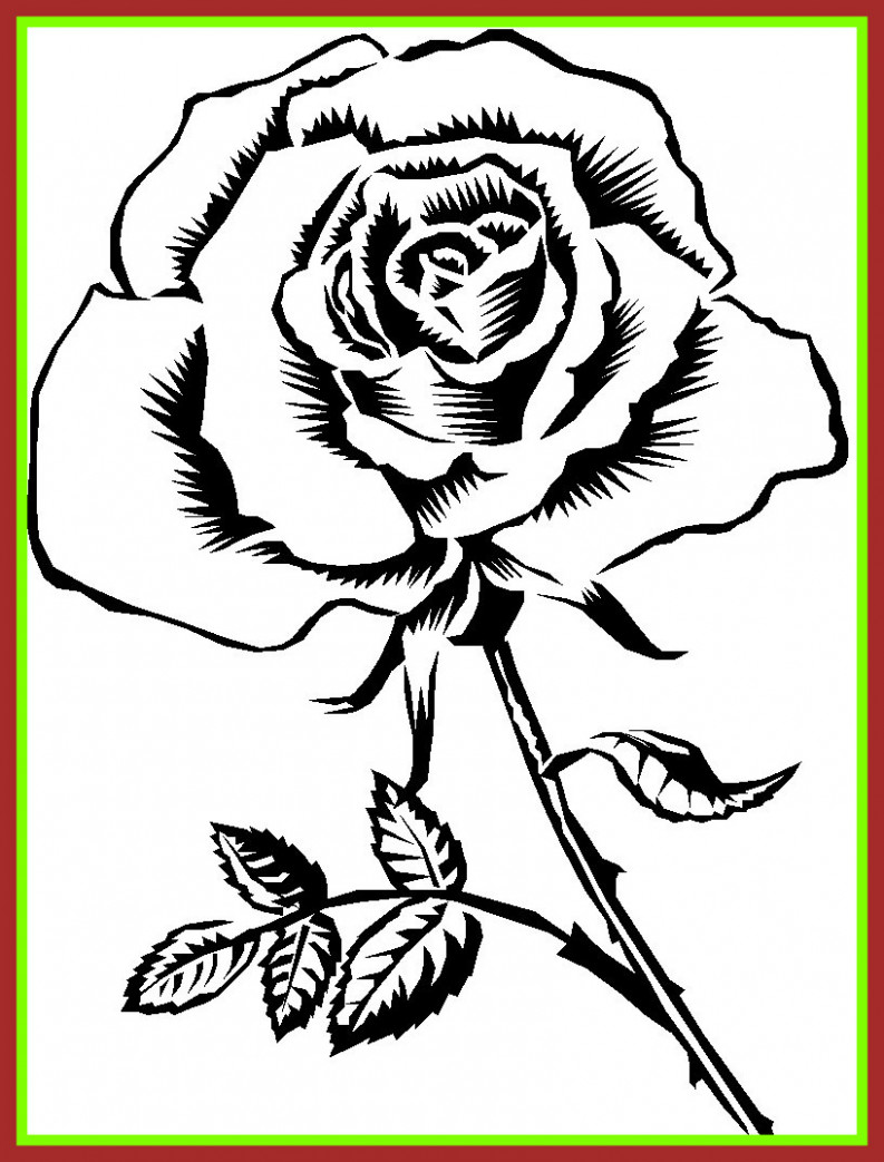 Rose Flower Black And White Drawing at PaintingValley.com | Explore