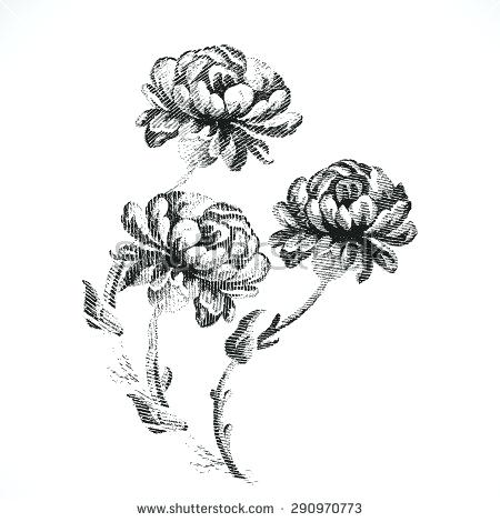 450x470 Black And White Drawings Realistic Flowers Isolated Decorationrint - Rose Flower Black And White Drawing