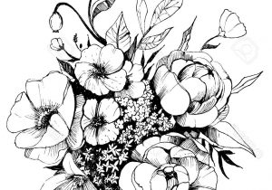 300x210 Black And White Sketches Of Flowers Beautiful Flower Drawings - Rose Flower Black And White Drawing