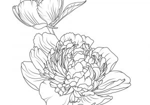 300x210 black and white sketches of flowers black and white drawing - Rose Flower Black And White Drawing