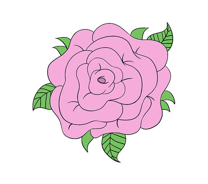 678x600 How To Draw A Rose Flower Easy Drawing Guides - Rose Flower Drawing