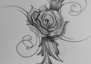 Rose Flower Drawing at PaintingValley.com | Explore collection of Rose ...