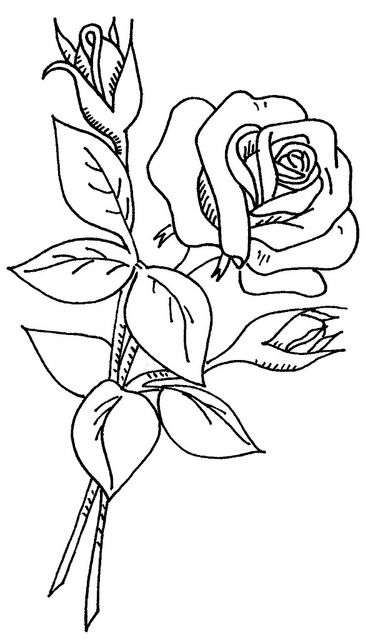 378x640 Wb Flowers My Designs Flower Coloring Pages, Coloring - Rose Flower Drawing
