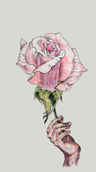 338x600 Rose Flower Drawing Tumblr - Rose Flower Drawing