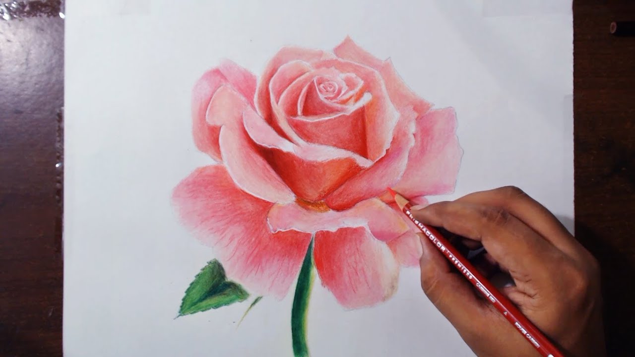 1280x720 Drawing A Rose - Rose Flower Drawing