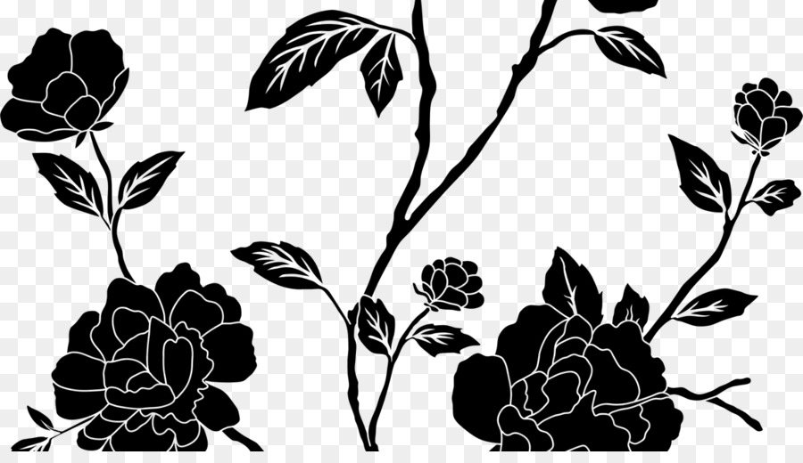 900x520 Rose, Flower, Drawing, Transparent Png Image Clipart Free Download - Rose Flower Drawing Images