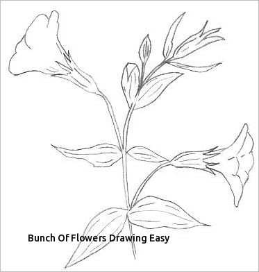 Rose Flower Drawing Step By Step