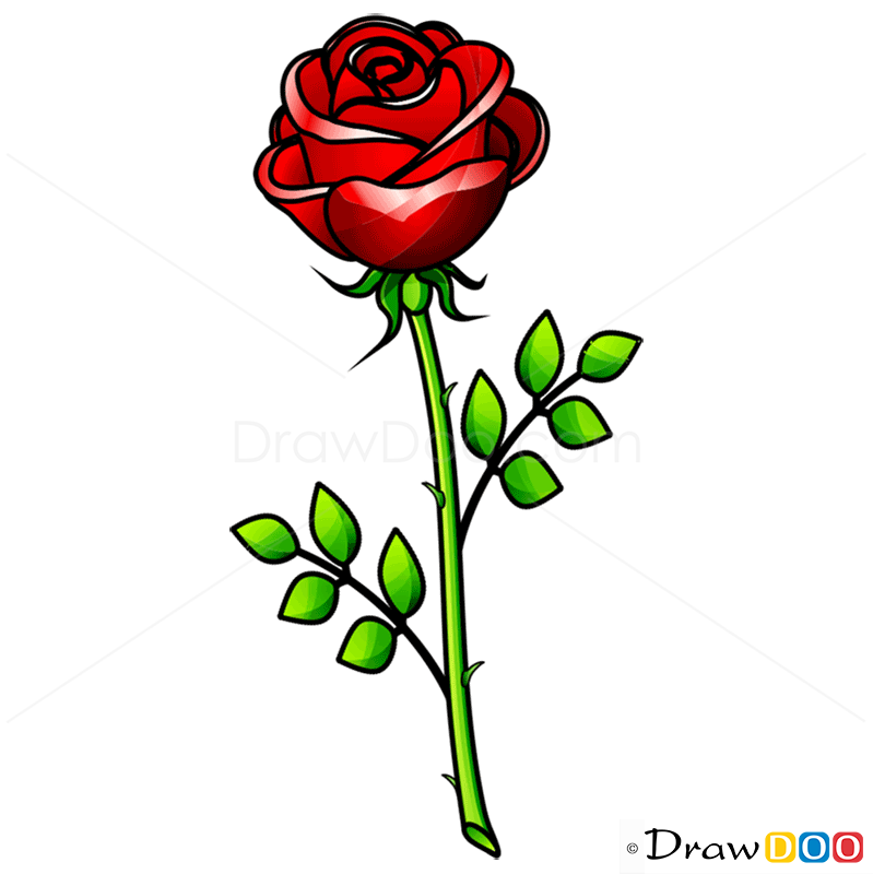799x800 How To Draw Rose Easy, Flowers - Rose Flower Drawing Step By Step