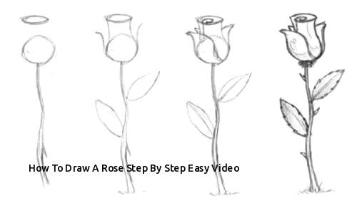 500x285 picture of a rose drawing easy troller us - Rose Flower Drawing Step By Step