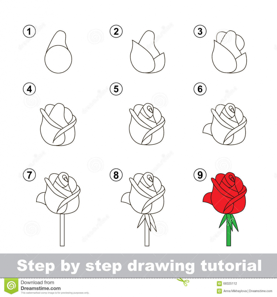 957x1024 Step - Rose Flower Drawing Step By Step