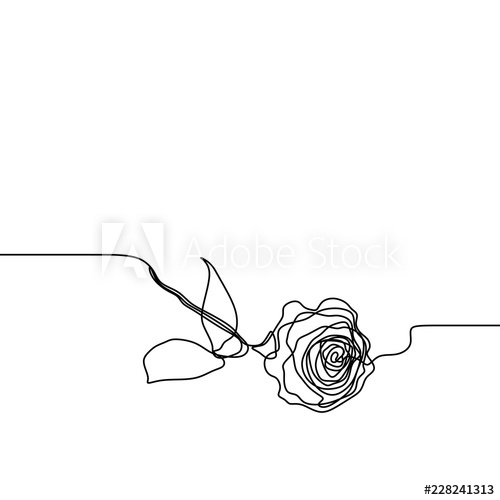 Rose Flower Line Drawing at PaintingValley.com | Explore collection of ...