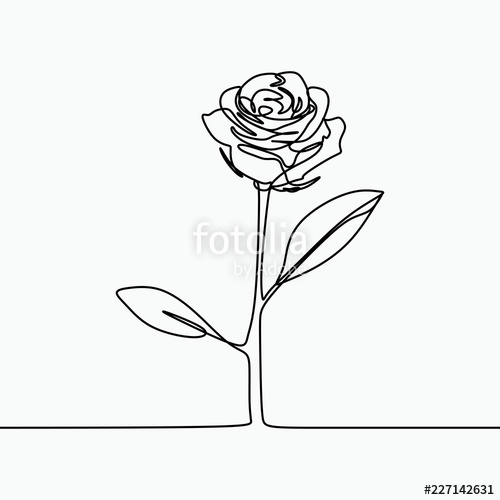 500x500 one line drawing of a rose flower minimal modern and simple - Rose Flower Line Drawing