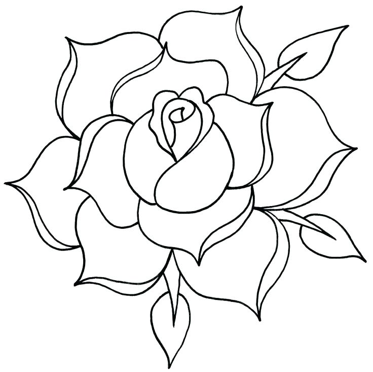 736x733 rose drawing outline simple rose outline tattoo drawing roses rose - Rose Flower Line Drawing