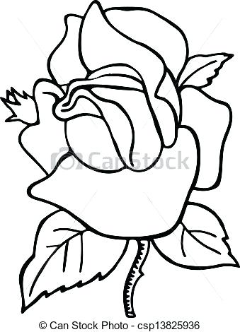 339x470 rose drawing simple rose flower line drawing simple lotus flower - Rose Flower Line Drawing