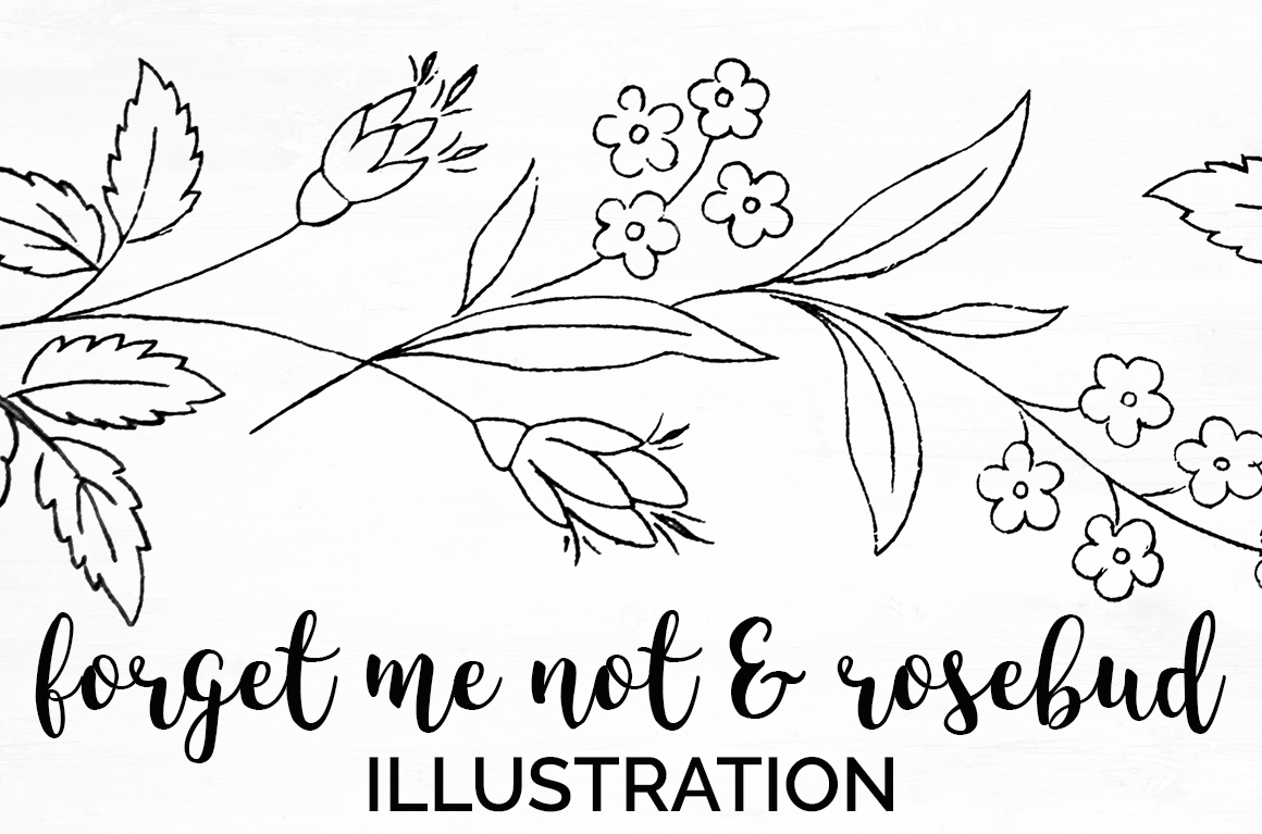 1160x767 Rose Flower - Rose Flower Line Drawing