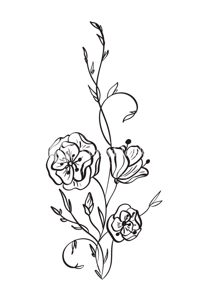 Rose Flower Line Drawing at PaintingValley.com | Explore collection of ...