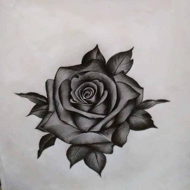 640x640 How To Draw Rose Flower With Pencil - Rose Flower Pencil Drawing