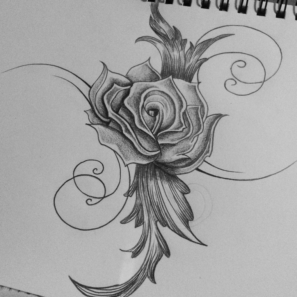 1024x1024 Rose Flowers Drawing Pictures Pencil - Rose Flower Pencil Drawing